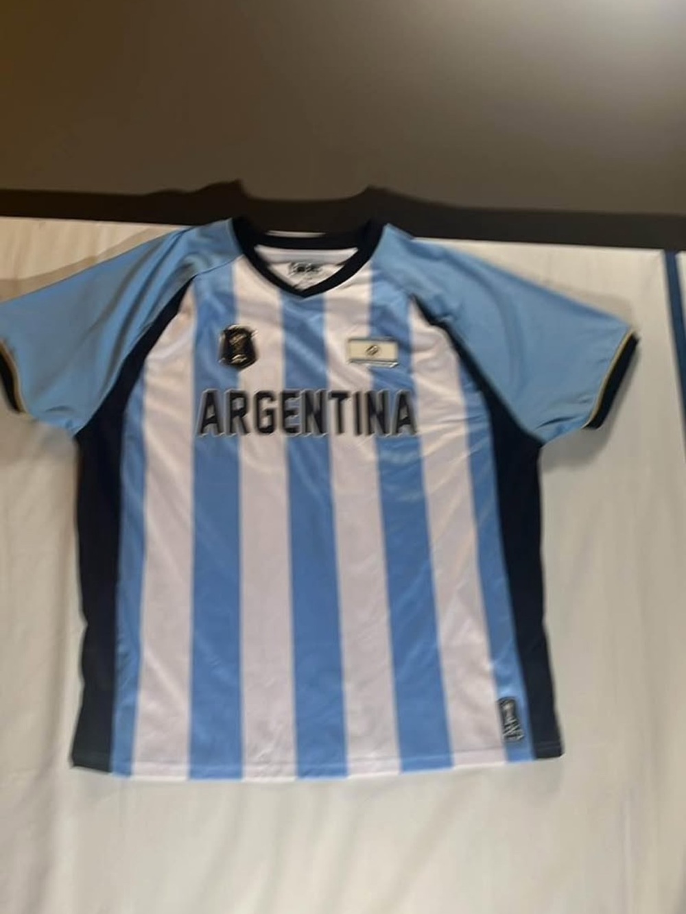 Nike Argentina Kids Soccer Jersey - Light Blue & White